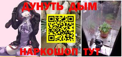 бошки Бийск